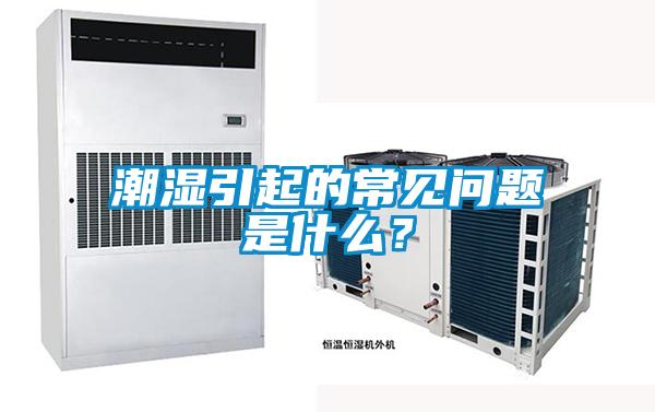 潮湿引起的常见问题是什么？