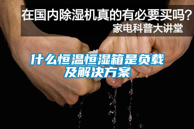 什么恒温恒湿箱是负载及解决午夜香蕉视频