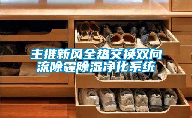 主推新风全热交换双向流除霾香蕉视频国产APP下载净化系统