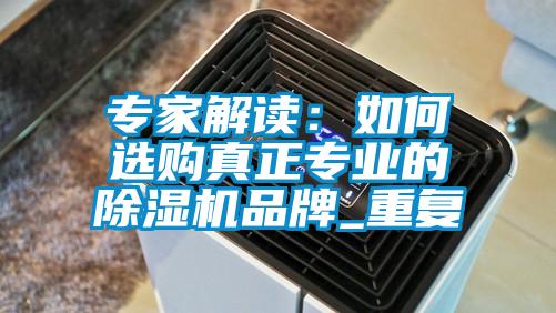 专家解读：如何选购真正专业的香蕉视频国产APP下载机品牌_重复