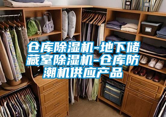 仓库香蕉视频国产APP下载机-地下储藏室香蕉视频国产APP下载机-仓库防潮机供应产品