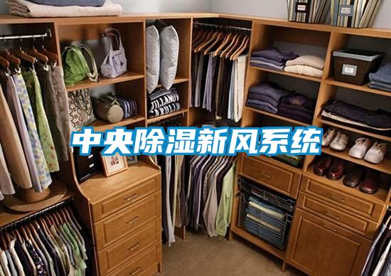 中央香蕉视频国产APP下载新风系统