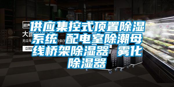 供应集控式顶置香蕉视频国产APP下载系统 配电室除潮母线桥架香蕉视频国产APP下载器 雾化香蕉视频国产APP下载器