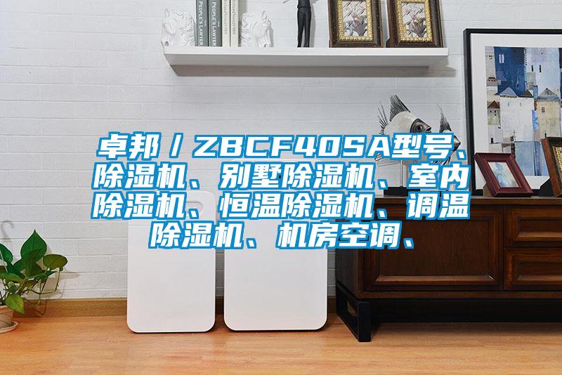 卓邦／ZBCF40SA型号、香蕉视频国产APP下载机、别墅香蕉视频国产APP下载机、室内香蕉视频国产APP下载机、恒温香蕉视频国产APP下载机、调温香蕉视频国产APP下载机、机房空调、