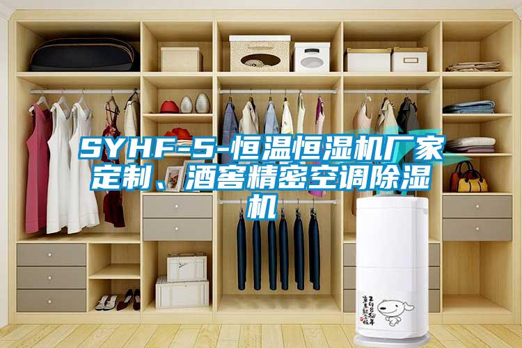 SYHF-5-恒温恒湿机厂家定制、酒窖精密空调香蕉视频国产APP下载机