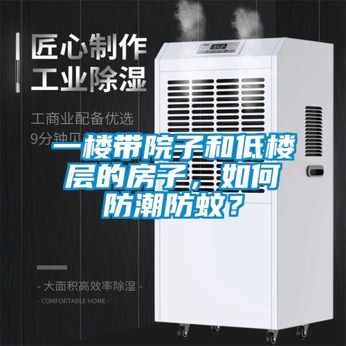 一楼带院子和低楼层的房子，如何防潮防蚊？