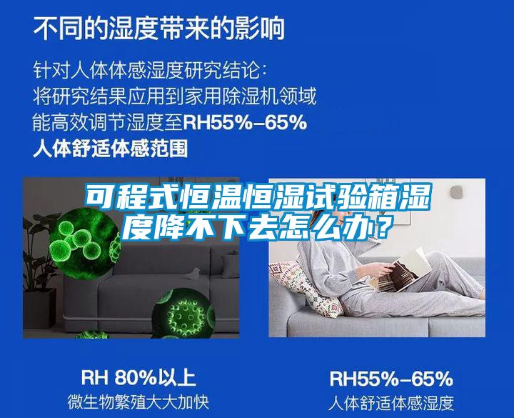 可程式恒温恒湿试验箱湿度降不下去怎么办？