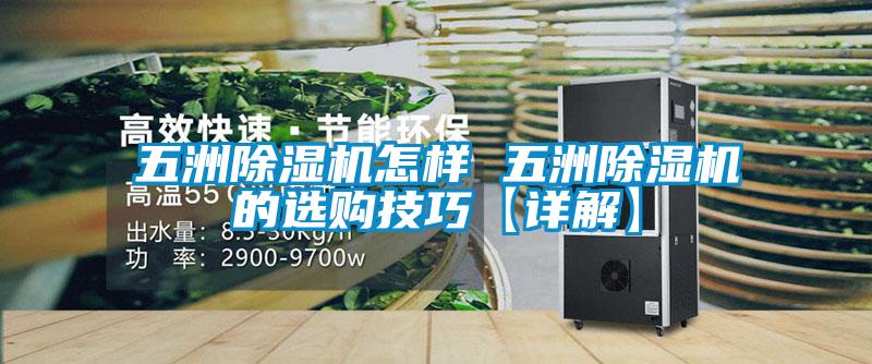 五洲香蕉视频国产APP下载机怎样 五洲香蕉视频国产APP下载机的选购技巧【详解】