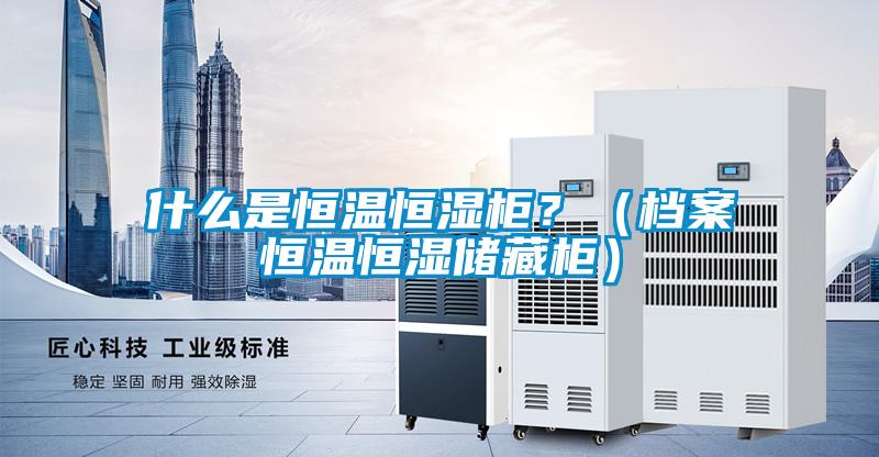 什么是恒温恒湿柜？（档案恒温恒湿储藏柜）