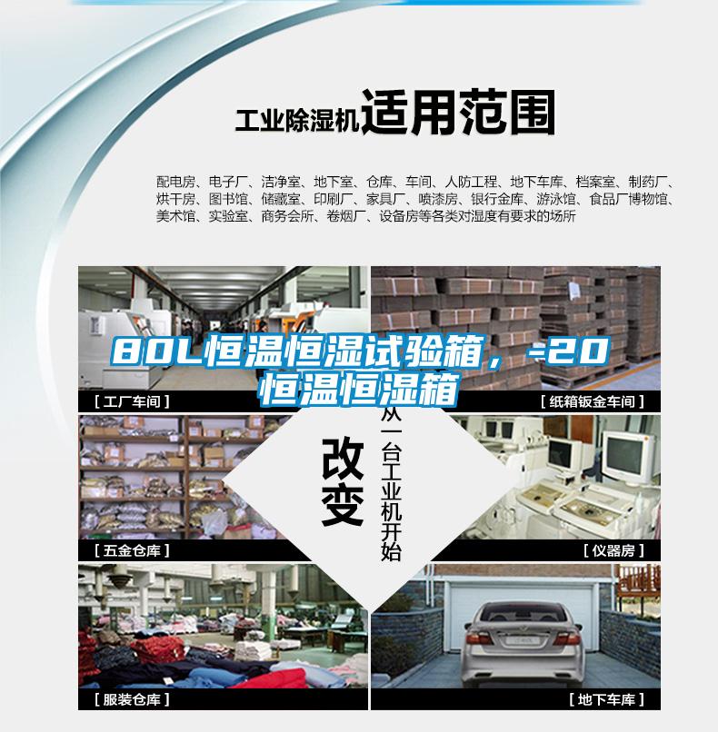 80L恒温恒湿试验箱，-20℃恒温恒湿箱