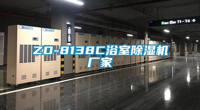ZD-8138C浴室香蕉视频国产APP下载机厂家