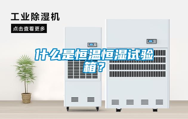 什么是恒温恒湿试验箱？