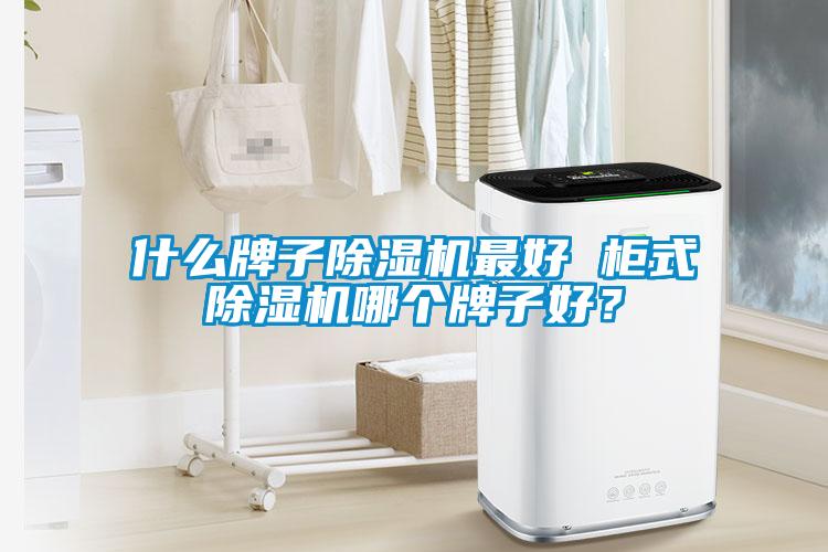 什么牌子香蕉视频国产APP下载机最好 柜式香蕉视频国产APP下载机哪个牌子好？