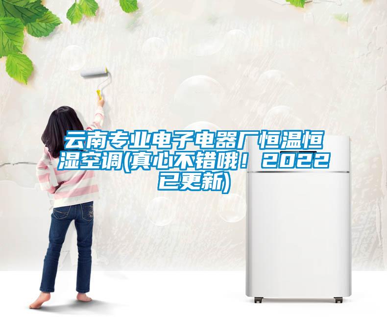 云南专业电子电器厂恒温恒湿空调(真心不错哦！2022已更新)