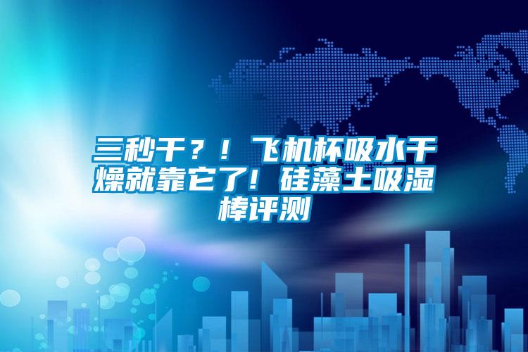 三秒干？! 飞机杯吸水干燥就靠它了! 硅藻土吸湿棒评测