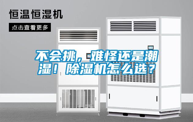 不会挑，难怪还是潮湿！香蕉视频国产APP下载机怎么选？