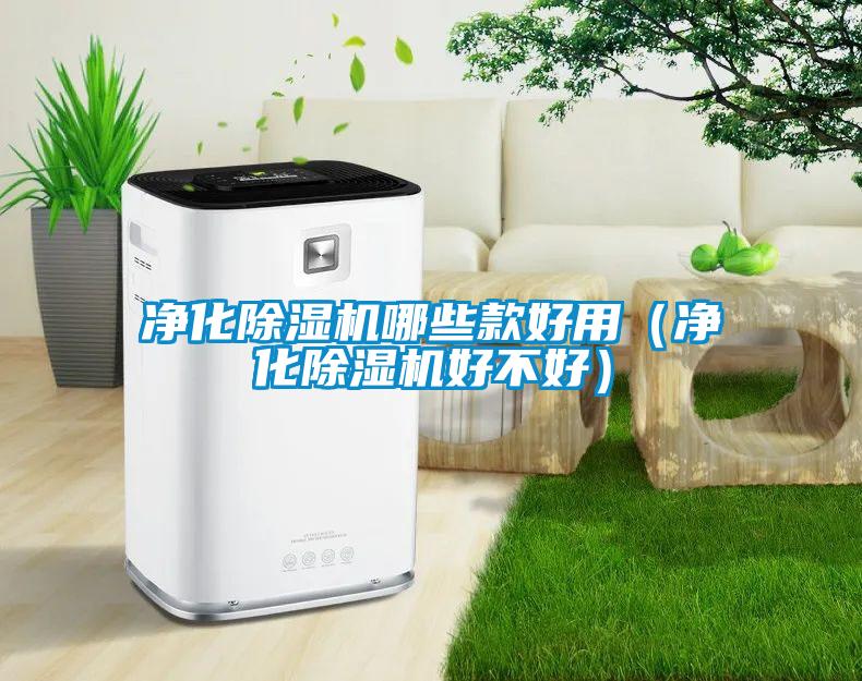 净化香蕉视频国产APP下载机哪些款好用（净化香蕉视频国产APP下载机好不好）