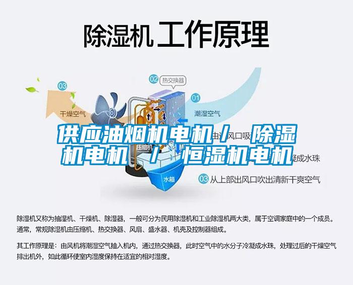 供应油烟机电机／ 香蕉视频国产APP下载机电机 ／ 恒湿机电机