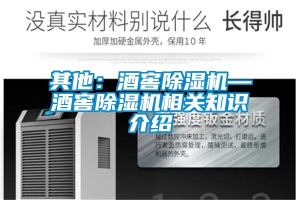 其他：酒窖香蕉视频国产APP下载机—酒窖香蕉视频国产APP下载机相关知识介绍
