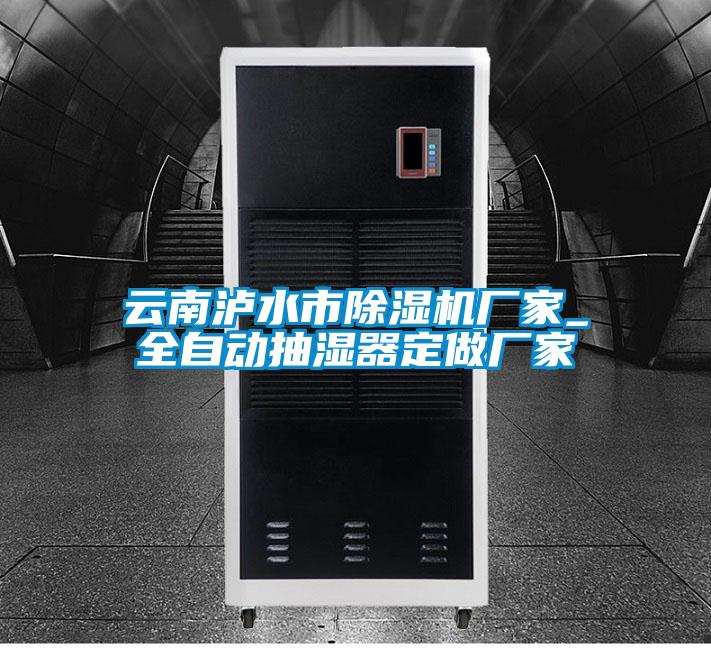 云南泸水市香蕉视频国产APP下载机厂家_全自动抽湿器定做厂家