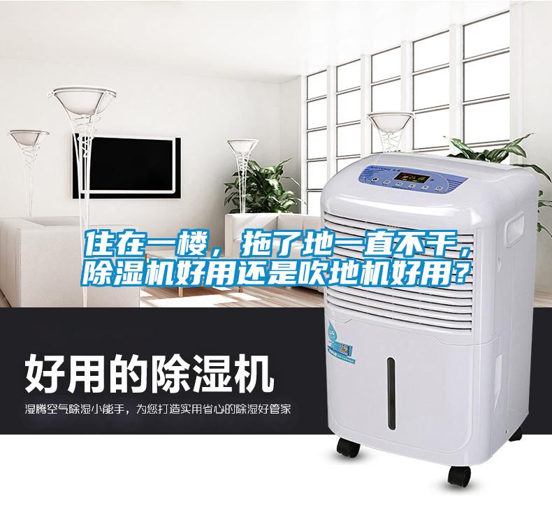 住在一楼，拖了地一直不干，香蕉视频国产APP下载机好用还是吹地机好用？