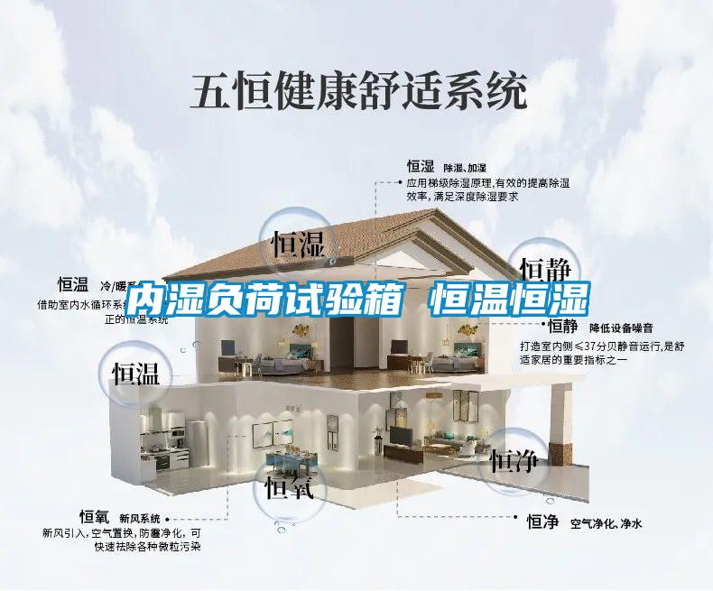 内湿负荷试验箱 恒温恒湿