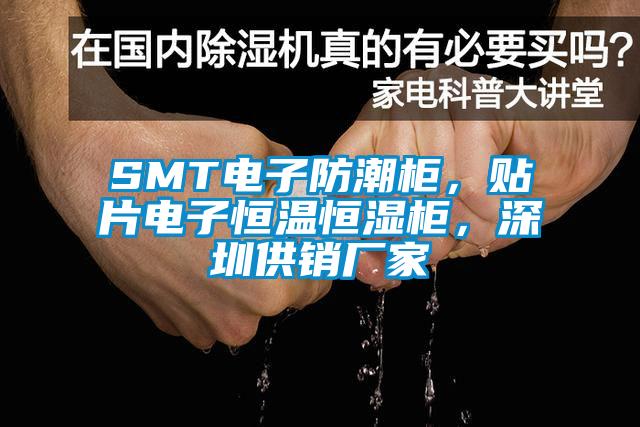 SMT电子防潮柜，贴片电子恒温恒湿柜，深圳供销厂家