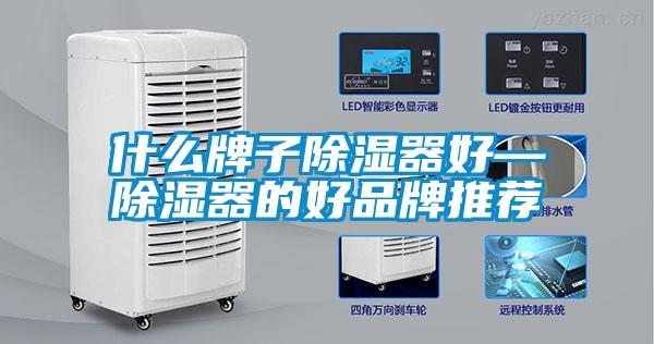 什么牌子香蕉视频国产APP下载器好—香蕉视频国产APP下载器的好品牌推荐