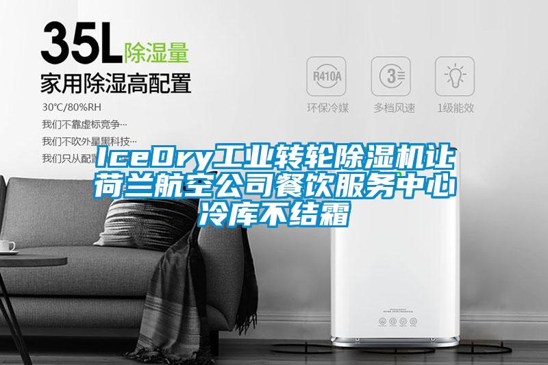 IceDry工业转轮香蕉视频国产APP下载机让荷兰航空公司餐饮服务中心冷库不结霜