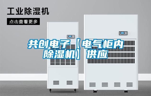 共创电子【电气柜内香蕉视频国产APP下载机】供应