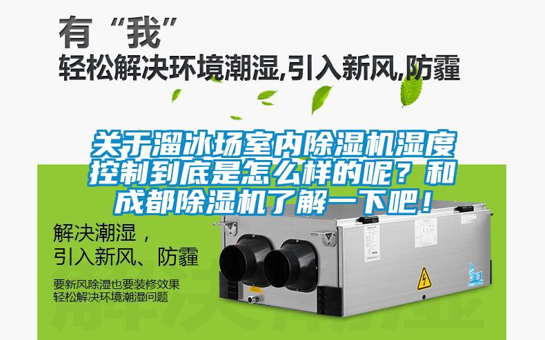 关于溜冰场室内香蕉视频国产APP下载机湿度控制到底是怎么样的呢？和成都香蕉视频国产APP下载机了解一下吧！