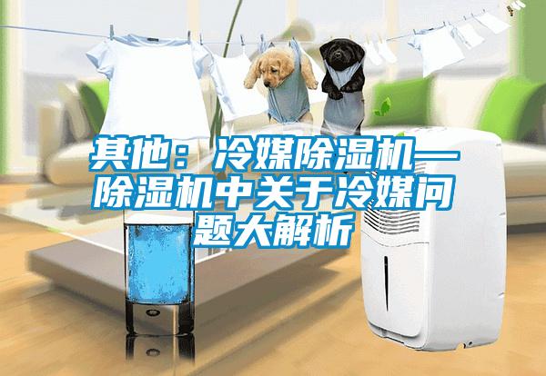 其他：冷媒香蕉视频国产APP下载机—香蕉视频国产APP下载机中关于冷媒问题大解析
