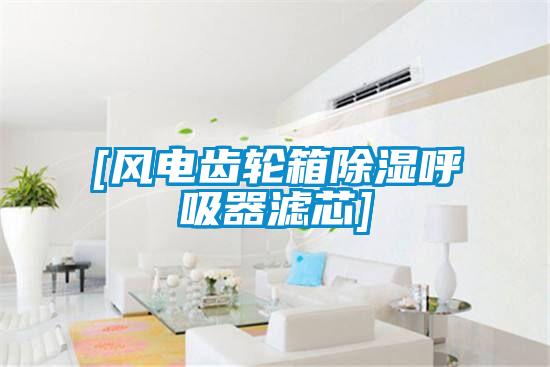 [风电齿轮箱香蕉视频国产APP下载呼吸器滤芯]