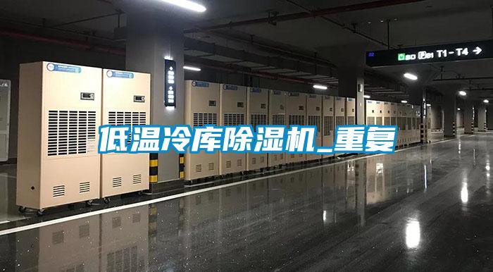 低温冷库香蕉视频国产APP下载机_重复