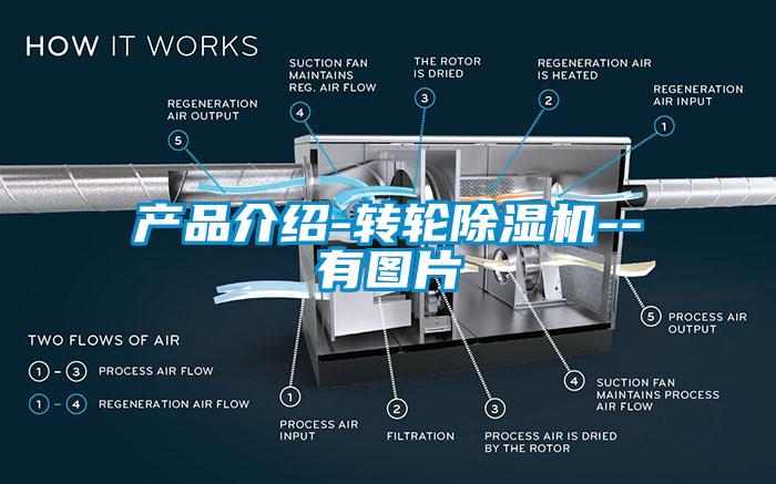 产品介绍-转轮香蕉视频国产APP下载机--有图片