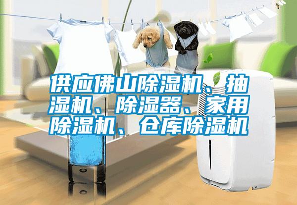 供应佛山香蕉视频国产APP下载机、抽湿机、香蕉视频国产APP下载器、家用香蕉视频国产APP下载机、仓库香蕉视频国产APP下载机