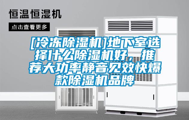 [冷冻香蕉视频国产APP下载机]地下室选择什么香蕉视频国产APP下载机好，推荐大功率静音见效快爆款香蕉视频国产APP下载机品牌