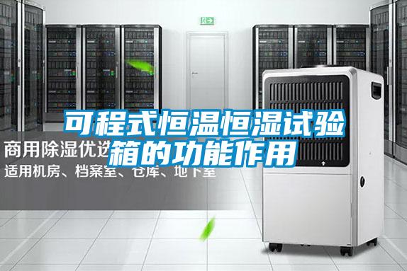 可程式恒温恒湿试验箱的功能作用