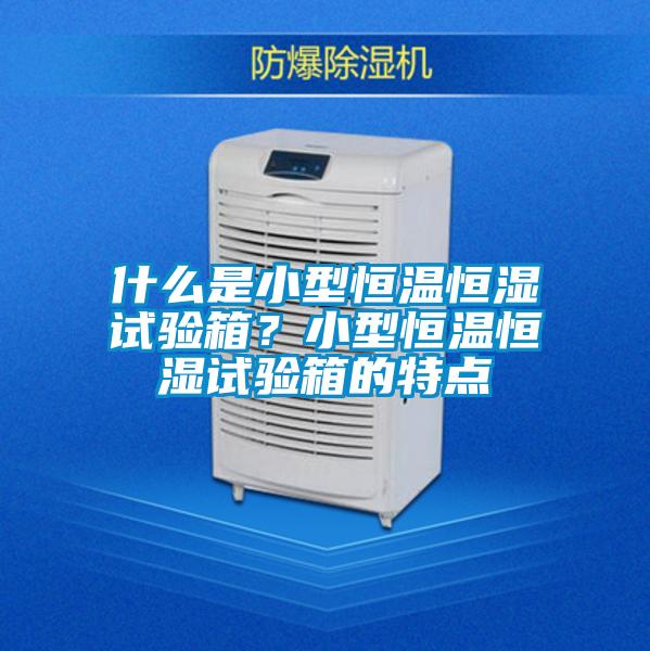 什么是小型恒温恒湿试验箱？小型恒温恒湿试验箱的特点