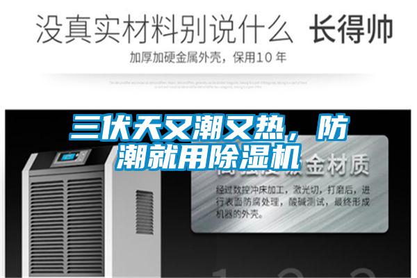 三伏天又潮又热，防潮就用香蕉视频国产APP下载机