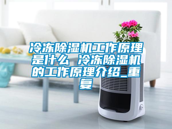 冷冻香蕉视频国产APP下载机工作原理是什么 冷冻香蕉视频国产APP下载机的工作原理介绍_重复