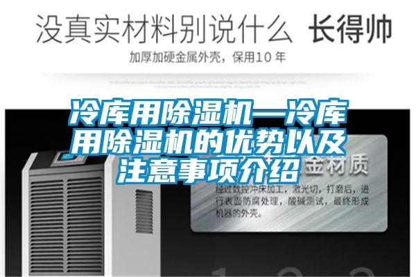 冷库用香蕉视频国产APP下载机—冷库用香蕉视频国产APP下载机的优势以及注意事项介绍