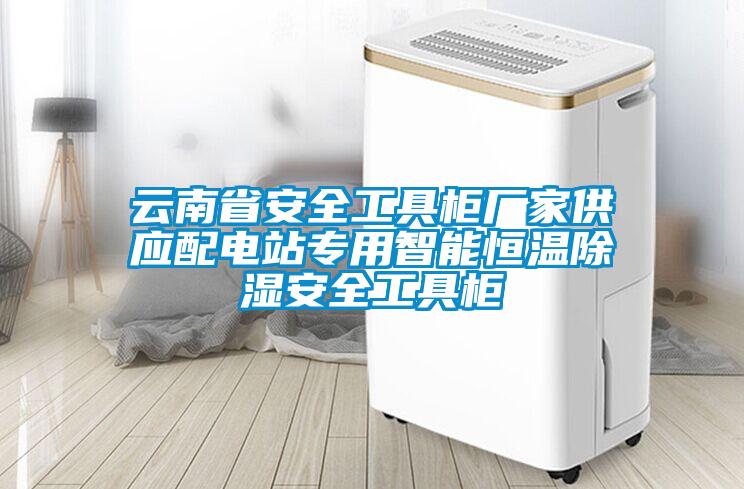 云南省安全工具柜厂家供应配电站专用智能恒温香蕉视频国产APP下载安全工具柜