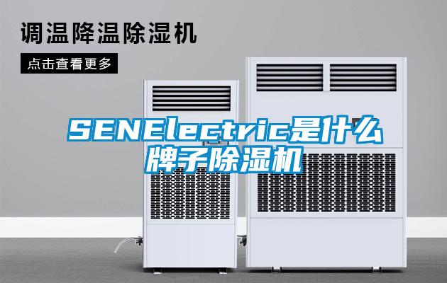 SENElectric是什么牌子香蕉视频国产APP下载机