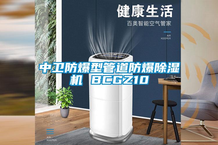 中卫防爆型管道防爆香蕉视频国产APP下载机 BCGZ10