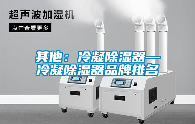 其他：冷凝香蕉视频国产APP下载器—冷凝香蕉视频国产APP下载器品牌排名