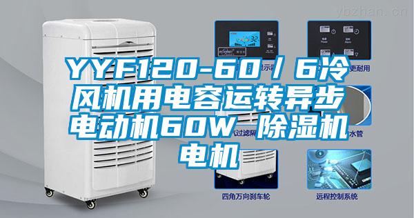 YYF120-60／6冷风机用电容运转异步电动机60W 香蕉视频国产APP下载机电机