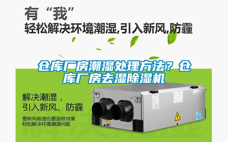 仓库厂房潮湿处理方法？仓库厂房去湿香蕉视频国产APP下载机