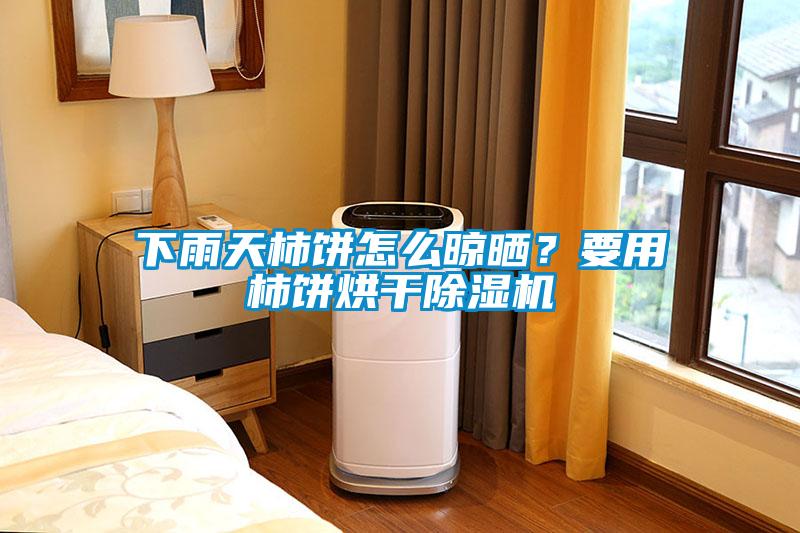 下雨天柿饼怎么晾晒？要用柿饼烘干香蕉视频国产APP下载机