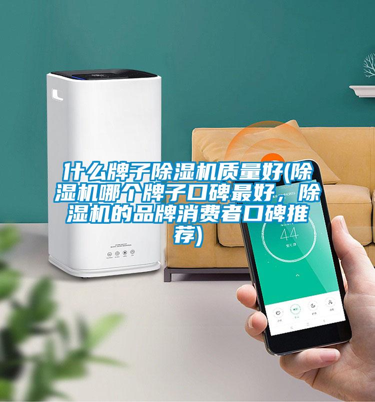 什么牌子香蕉视频国产APP下载机质量好(香蕉视频国产APP下载机哪个牌子口碑最好，香蕉视频国产APP下载机的品牌消费者口碑推荐)